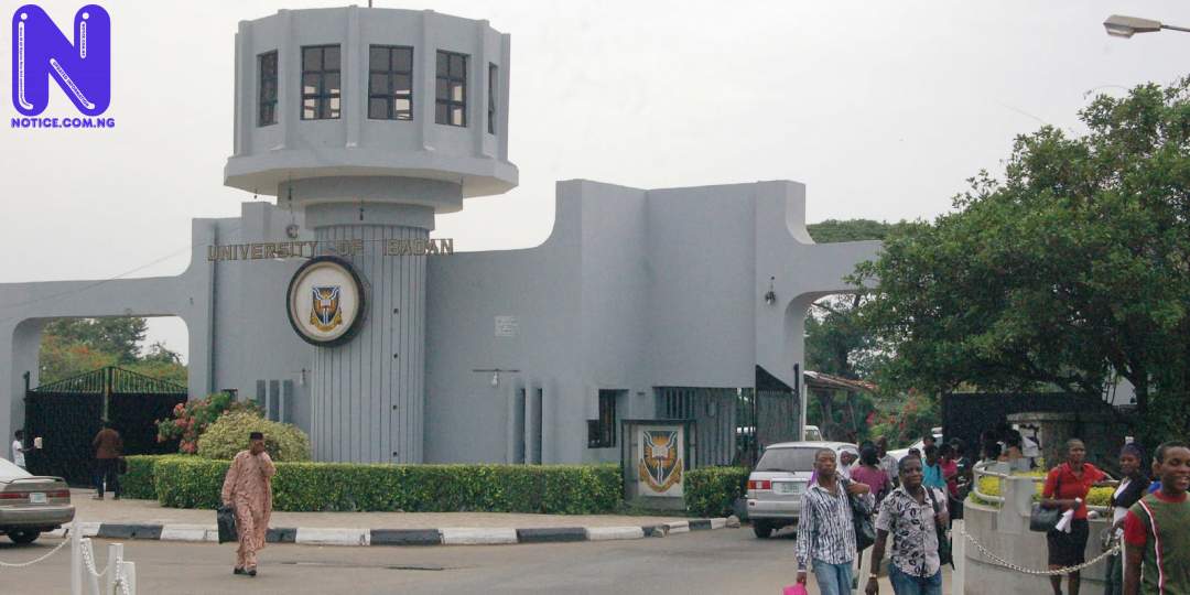 University of Ibadan governing council shortlists eight professors for VC position UNIVERSITY-OF-IBADANUI210082