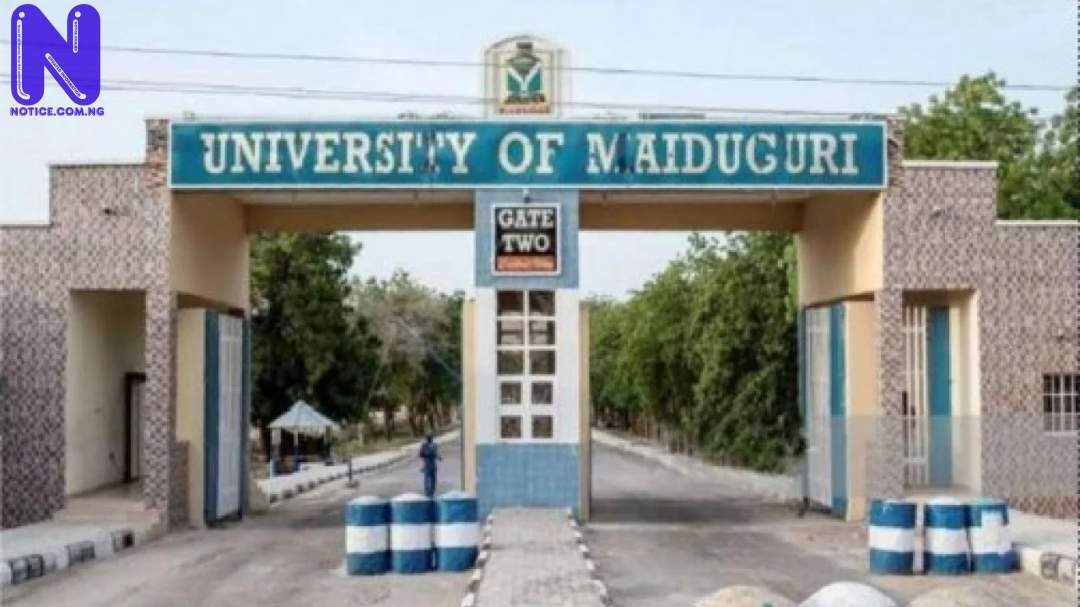 UNIVERSITY-OF-MAIDUGURI-UNIMAID-MAIN-GATE