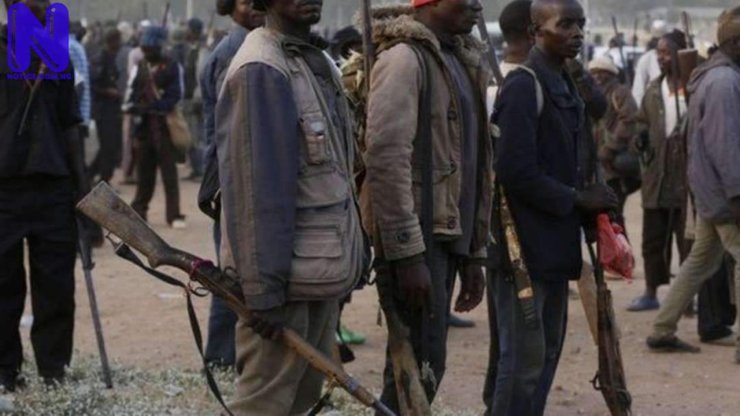 Niger Assembly passes bill to arm vigilante Corps VIGILANTE-GROUP-