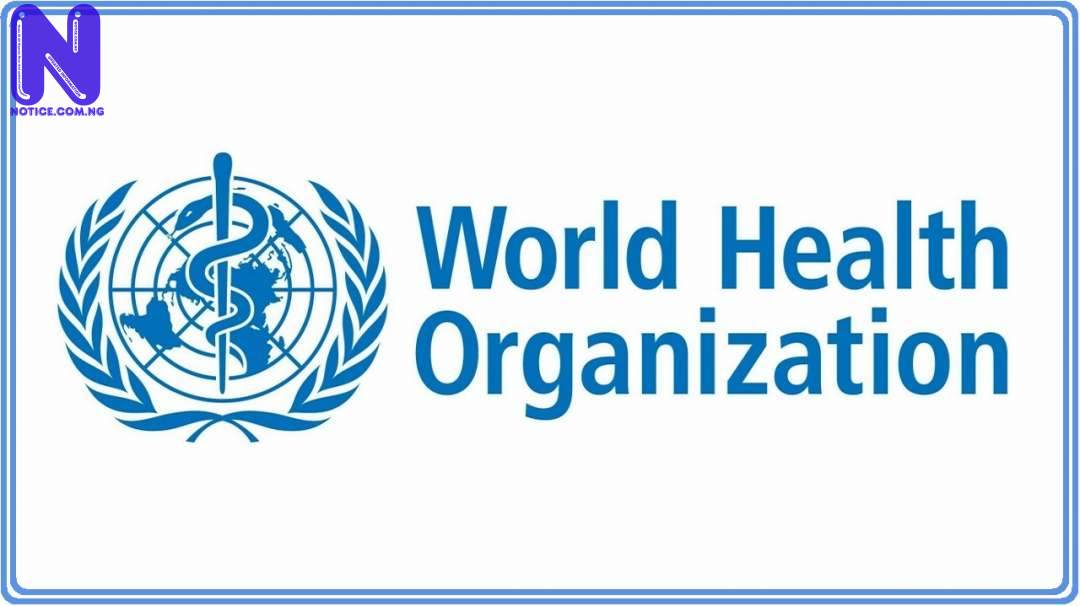 WHO lists strategies for easing restrictions as death toll hits 100,000 - COVID-19 WHO