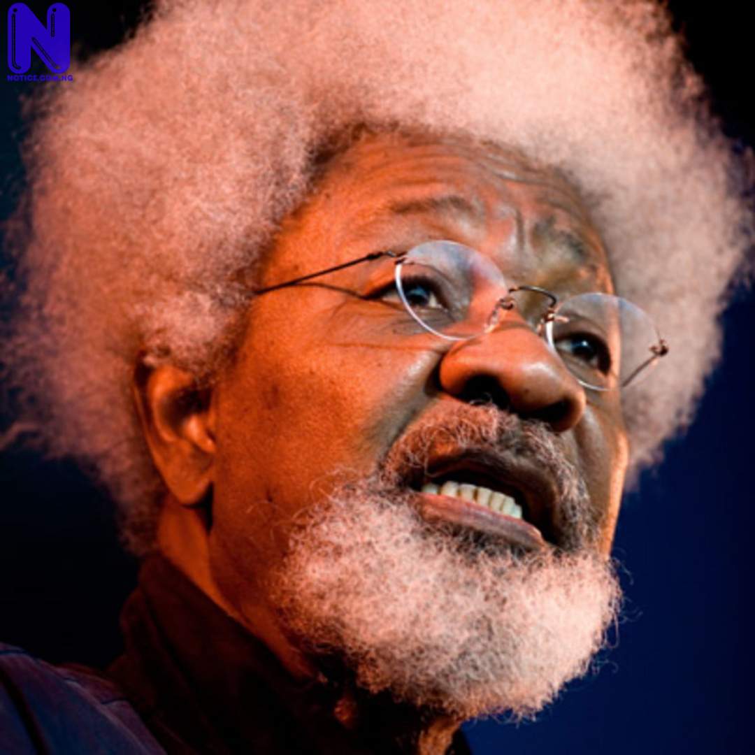 I've not thought about 2023 elections – Soyinka denies endorsing Tinubu WOLE-SOYINKA148973