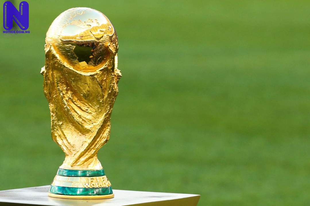 Five countries eliminated from tournament - World Cup 2022 WORLD-CUP102583