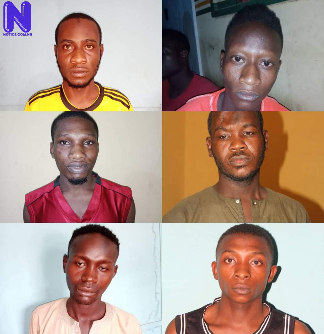 Serving corps member arrested for defrauding businessmen in Jigawa XKPX3DEH