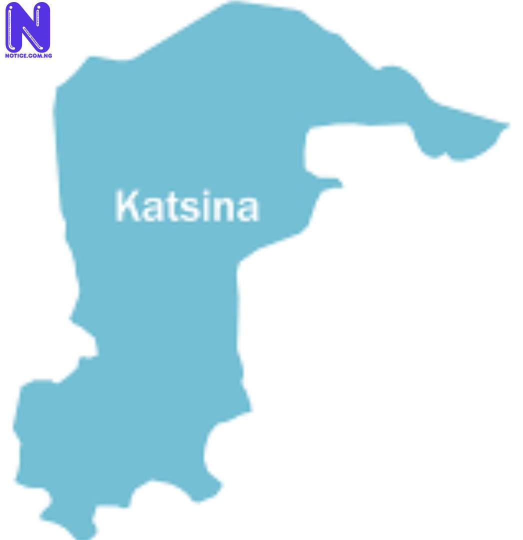 Terrorists kill three travellers, injure others in Katsina ZXIOHECM23770